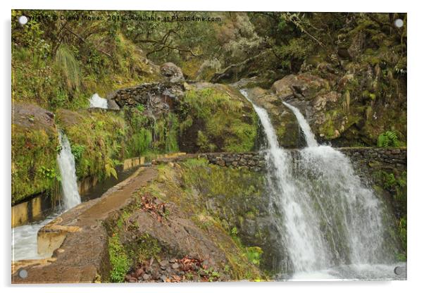 Madeiran Waterfall Acrylic by Diana Mower