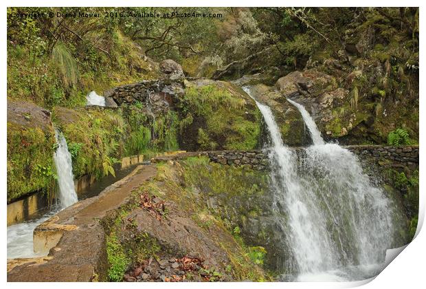 Madeiran Waterfall Print by Diana Mower