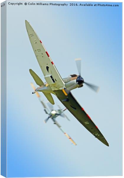 The Guy Martin Spitfire Tailchase Duxford Canvas Print by Colin Williams Photography