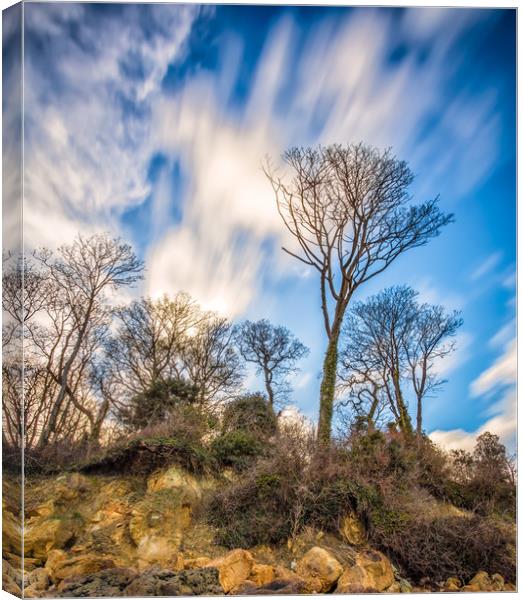 Priory Bay Isle Of Wight Canvas Print by Wight Landscapes