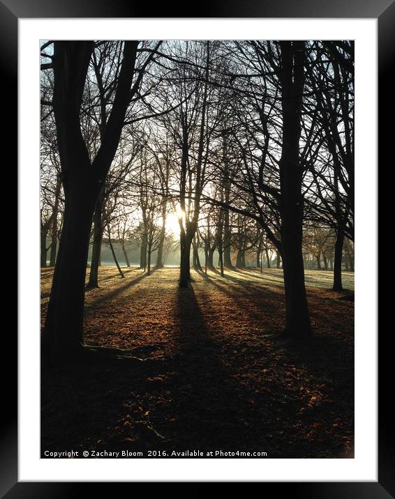 Sunrise in Hale Barns Park Framed Mounted Print by Zachary Bloom