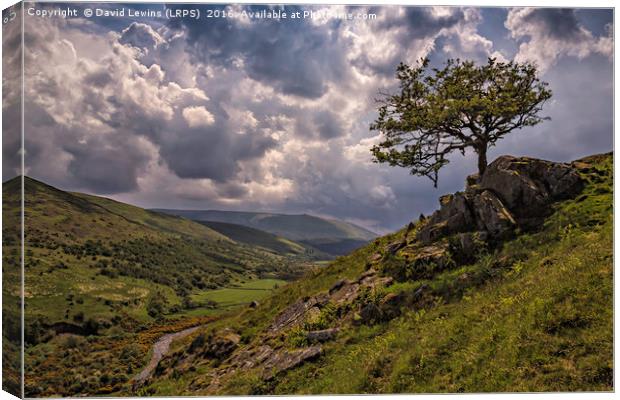 Coming Storm - College Valley, Northumberland Canvas Print by David Lewins (LRPS)