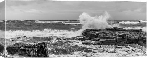 Making a Mono Splash............. Canvas Print by Naylor's Photography