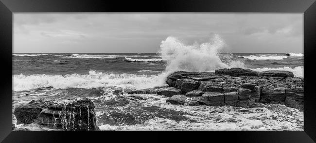 Making a Mono Splash............. Framed Print by Naylor's Photography