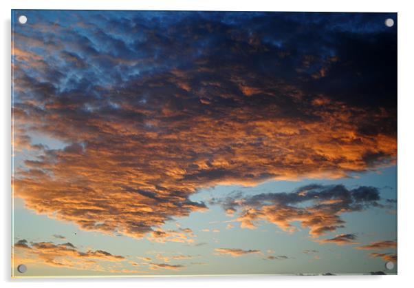 Clouds at Dawn Acrylic by graham young