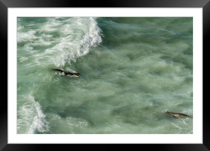 Catching the Wave Framed Mounted Print by Belinda Greb