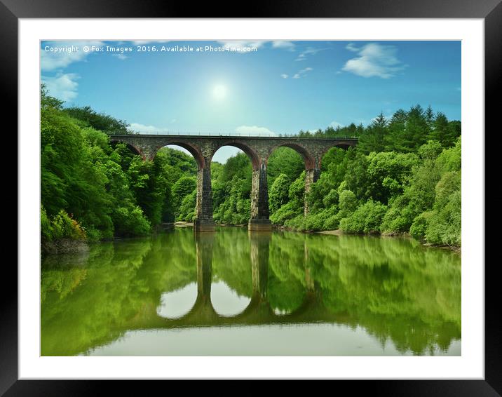 River viaduct Framed Mounted Print by Derrick Fox Lomax