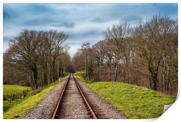 Isle Of Wight Steam Railway Track Print by Wight Landscapes