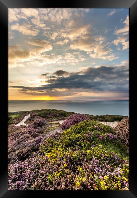 Headon Hill Sunset Framed Print by Wight Landscapes