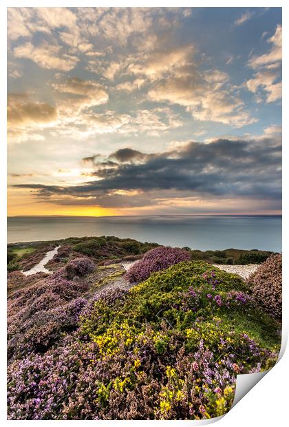 Headon Hill Sunset Print by Wight Landscapes