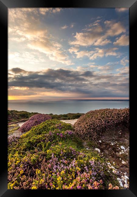 Sunset On Headon Hill Framed Print by Wight Landscapes