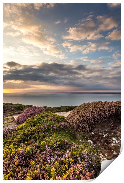 Sunset On Headon Hill Print by Wight Landscapes