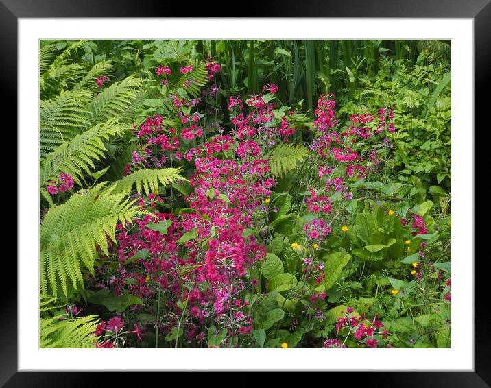 Wetland Garden Framed Mounted Print by Victor Burnside