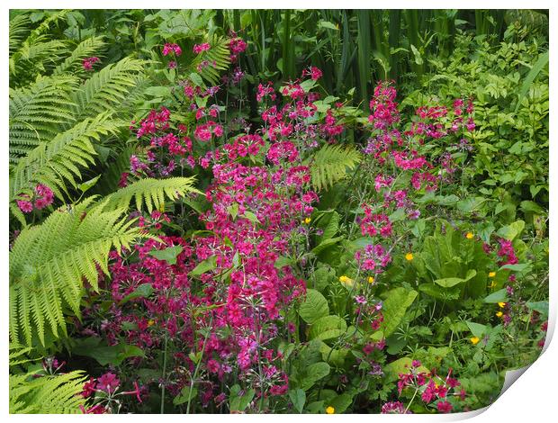 Wetland Garden Print by Victor Burnside