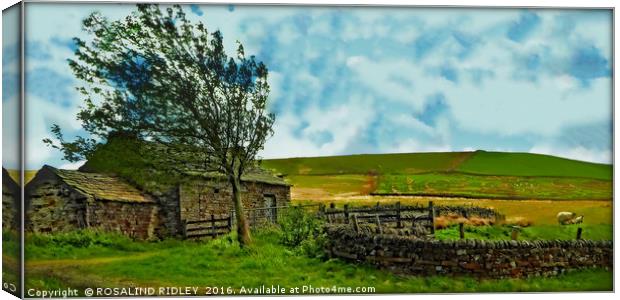 "WINDY DAY ON THE MOORS" Canvas Print by ROS RIDLEY