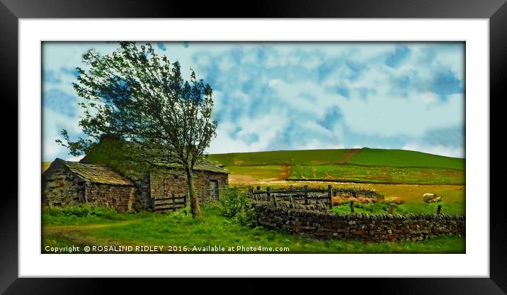 "WINDY DAY ON THE MOORS" Framed Mounted Print by ROS RIDLEY