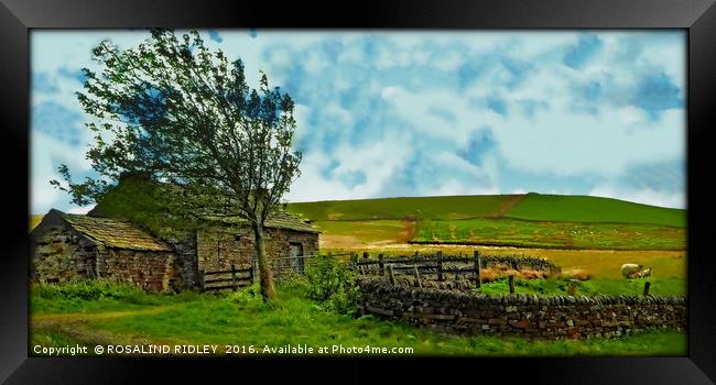 "WINDY DAY ON THE MOORS" Framed Print by ROS RIDLEY