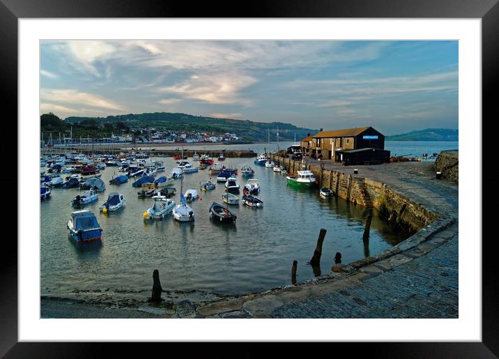 Lyme Regis Harbour                       Framed Mounted Print by Darren Galpin