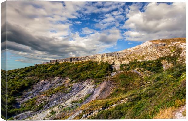 Gore Cliff Canvas Print by Wight Landscapes