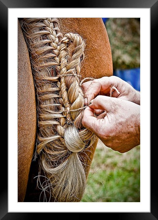 Plaiting A Work Of Art Framed Mounted Print by tony golding