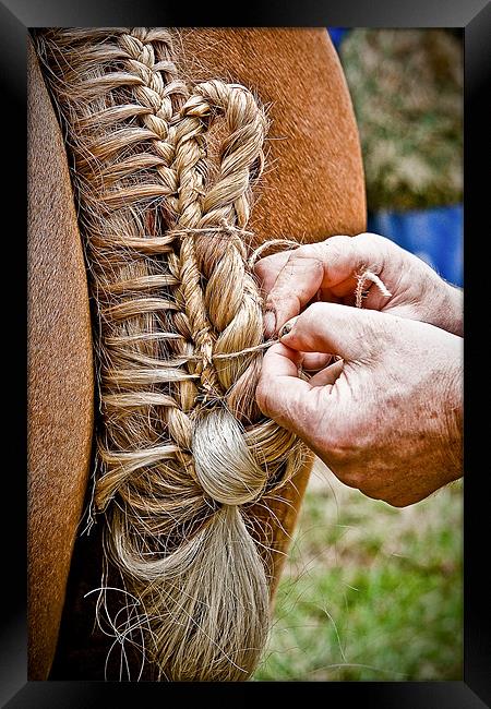Plaiting A Work Of Art Framed Print by tony golding