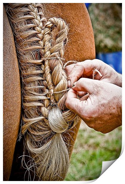 Plaiting A Work Of Art Print by tony golding