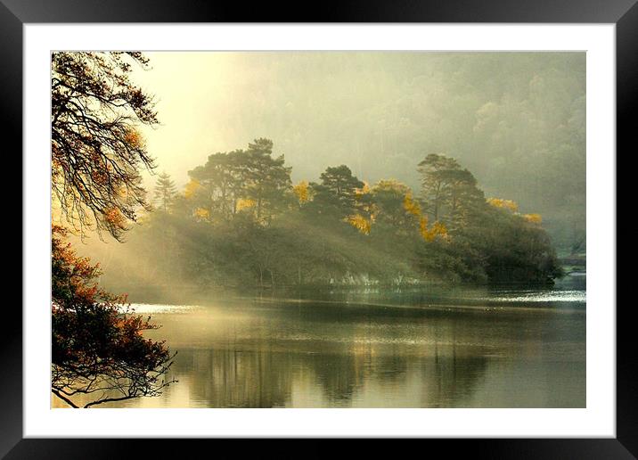 Morning Mist  on the lake . Framed Mounted Print by Irene Burdell