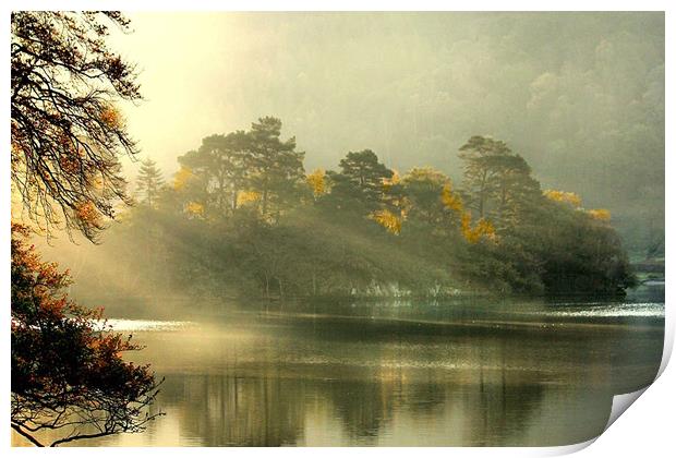 Morning Mist  on the lake . Print by Irene Burdell