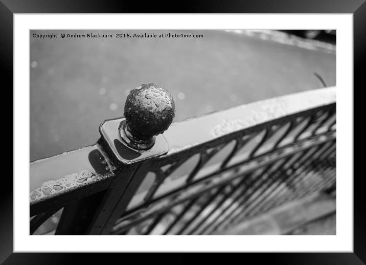 'Railing' against the weather... Framed Mounted Print by Andy Blackburn