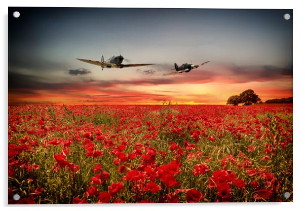 Battle of Britain Warriors Acrylic by J Biggadike