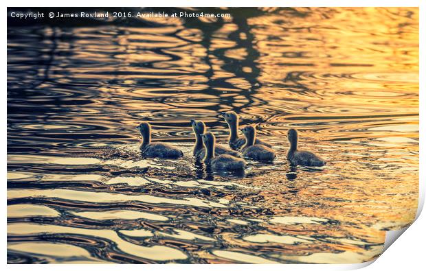 On Golden Pond Print by James Rowland