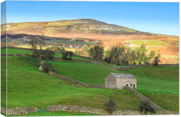 Yorkshire Dales  Canvas Print by chris smith