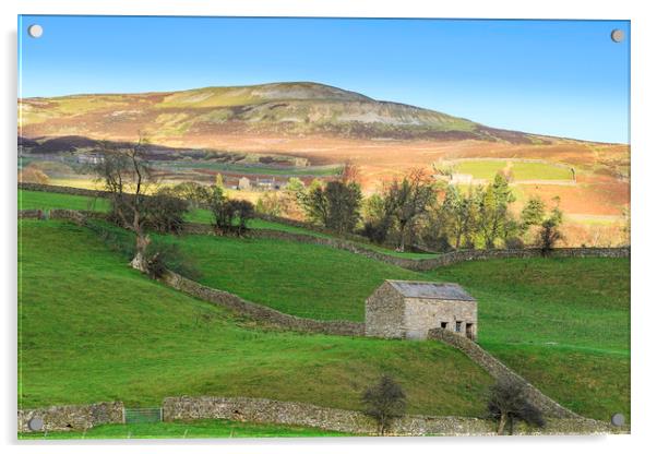Yorkshire Dales  Acrylic by chris smith