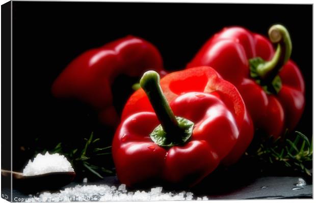Red Pepper Still life Canvas Print by Tanja Riedel
