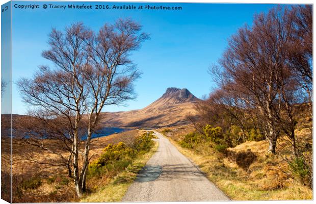 Stac Pollaidh  Canvas Print by Tracey Whitefoot