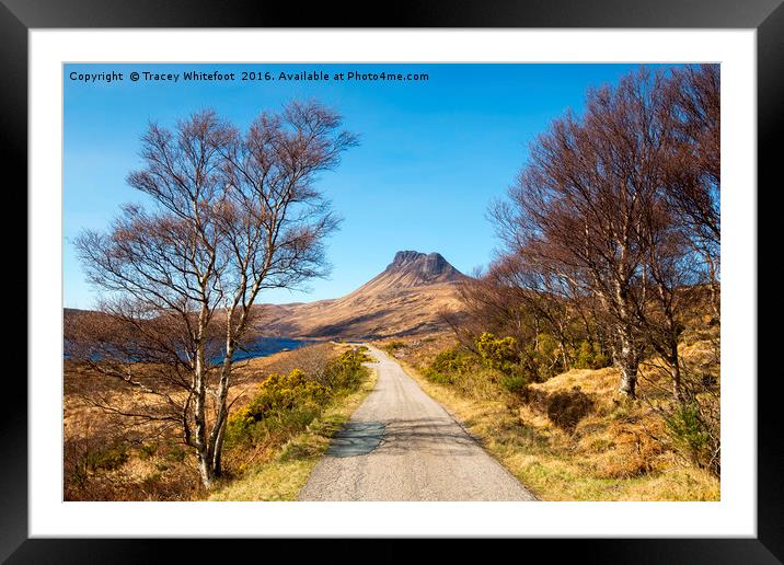 Stac Pollaidh  Framed Mounted Print by Tracey Whitefoot