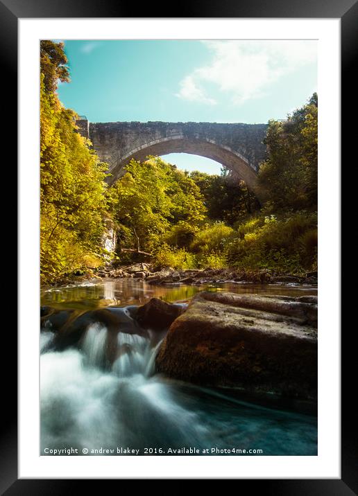 Portrait of Causey Arch Framed Mounted Print by andrew blakey
