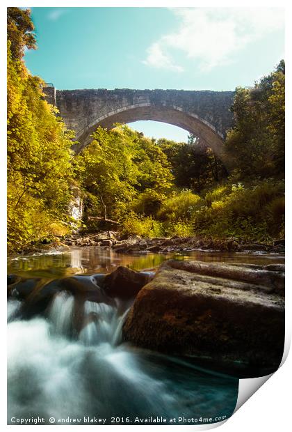 Portrait of Causey Arch Print by andrew blakey