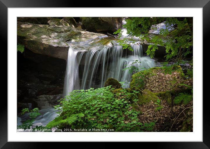 Melincourt small falls Framed Mounted Print by Leighton Collins