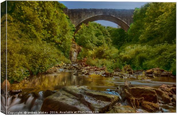 Causey Arch Canvas Print by andrew blakey