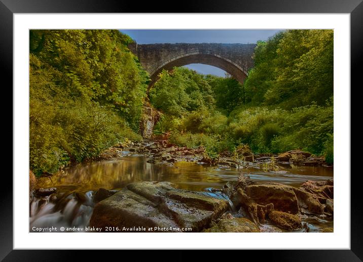 Causey Arch Framed Mounted Print by andrew blakey