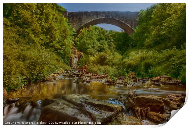 Causey Arch Print by andrew blakey