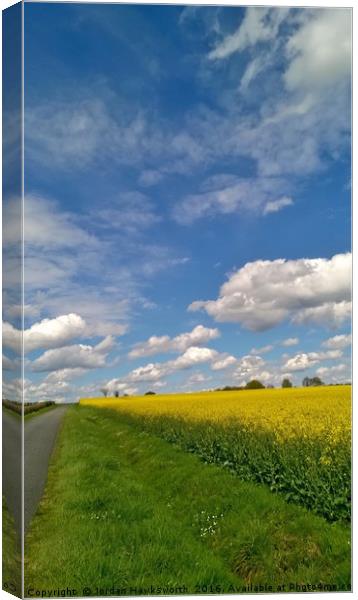 Blue sky above yellow rape fields Canvas Print by Jordan Hawksworth