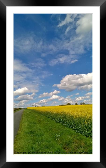 Blue sky above yellow rape fields Framed Mounted Print by Jordan Hawksworth