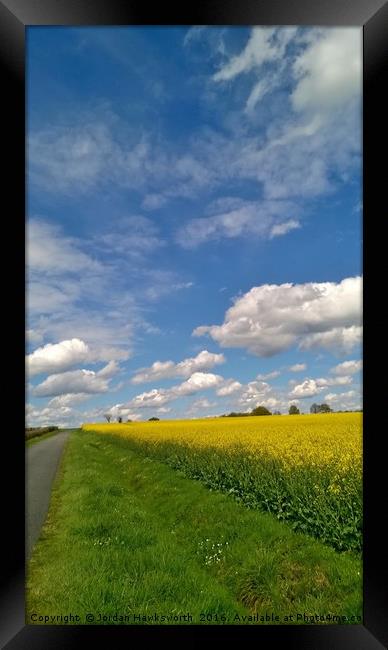 Blue sky above yellow rape fields Framed Print by Jordan Hawksworth