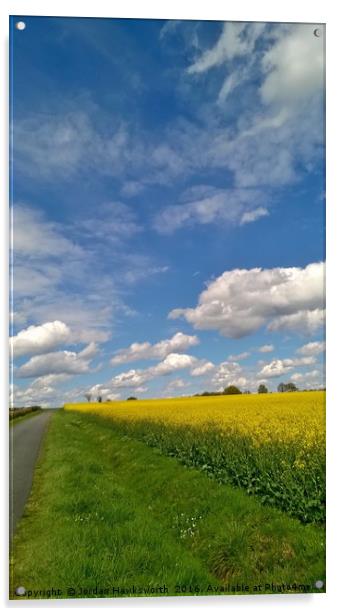 Blue sky above yellow rape fields Acrylic by Jordan Hawksworth