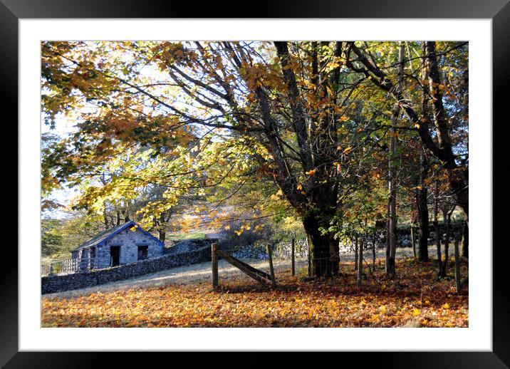 Autumn Scene Framed Mounted Print by Harvey Hudson