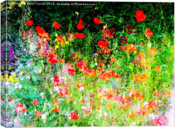 Burst of Color Canvas Print by Beryl Curran