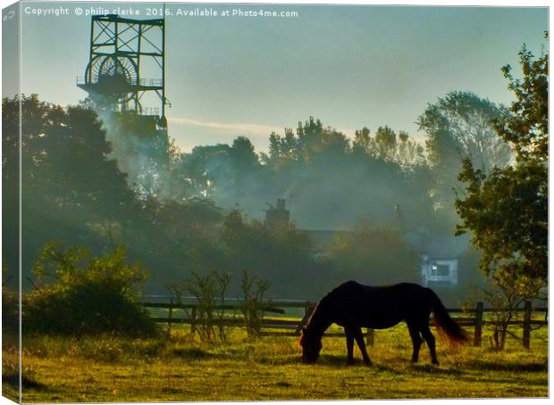 Horse Grazing in Early Morning Mist Canvas Print by philip clarke