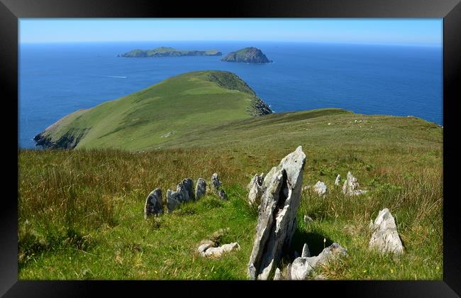 The Great Blasket Island Framed Print by barbara walsh